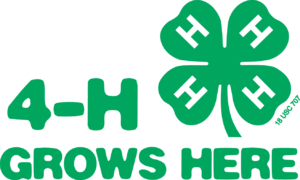 Cover photo for Clovers All Over: What Are the 4 H's Anyway?