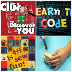 Cover photo for Fall Into 4-H With New Clubs