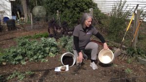 How to Take A Soil Sample