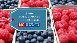 2019 Polk County Cooperative Extension Berry Sale