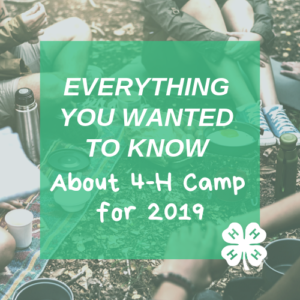Cover photo for Attention Polk County 4-Hers: Everything You Need to Know About Summer Camp