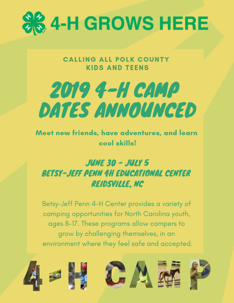 4-H Summer Camp Info - page one