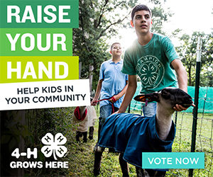 Cover photo for Raise Your Hand for NC 4-Hers