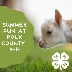 4-H Summer Schedule 2019