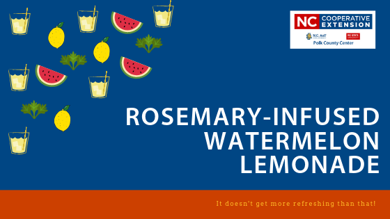 Rosemary-Infused Watermelon Lemonade banner image