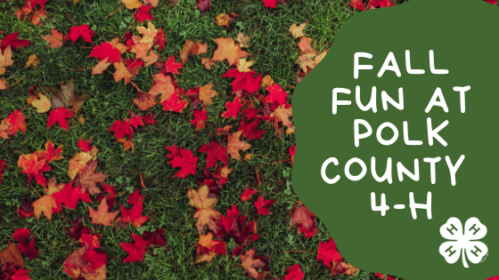 Polk County 4-H Fall Registration