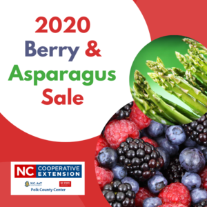 Cover photo for 2020 Berry & Asparagus Sale Is Here!