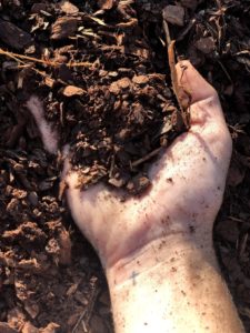 Hand full of Mulch