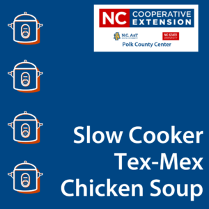 Slow Cooker Tex-Mex Chicken Soup