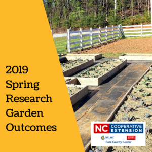 Polk County Spring Garden Varieties
