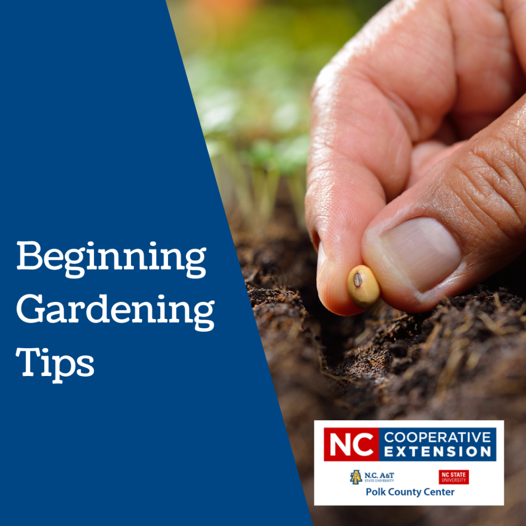 Beginning Gardening Tips For Polk County Gardeners Nc Cooperative Extension 