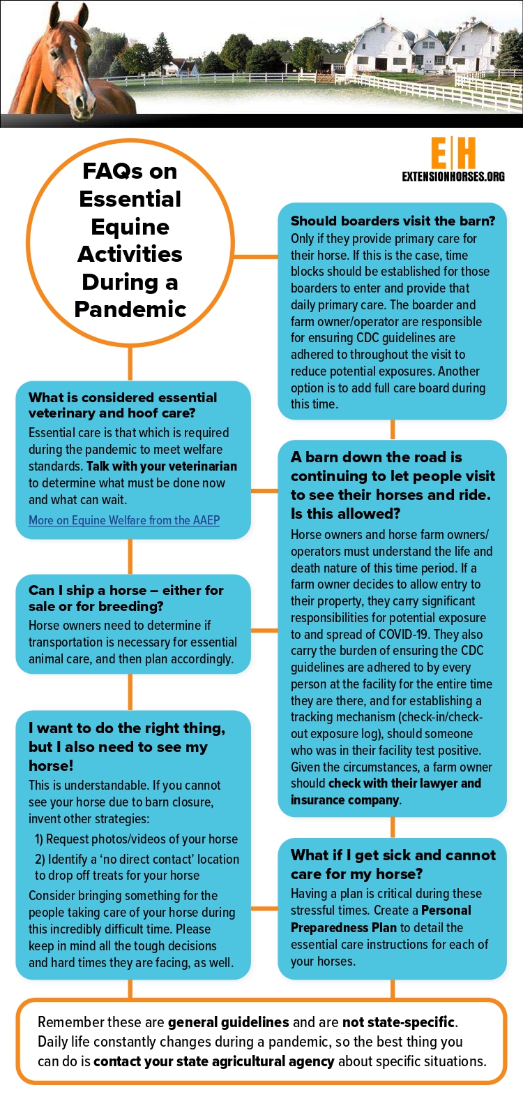 COVID-19 Infographic for Equine FAQs