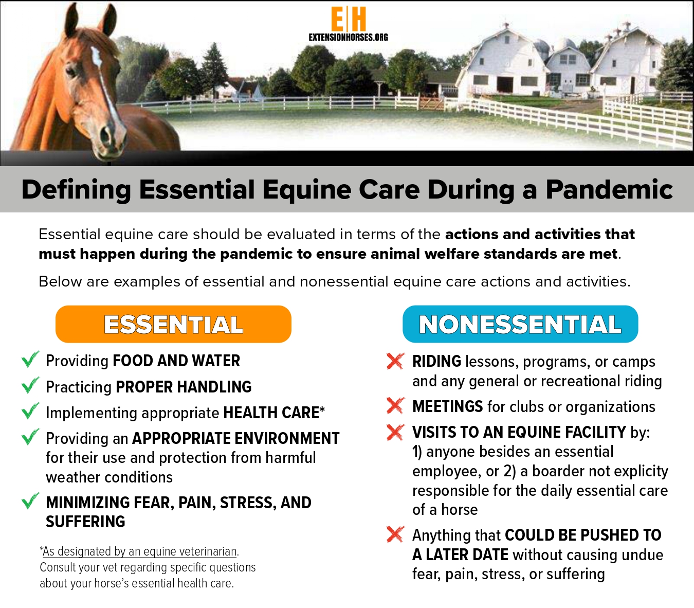 COVID-19 Infographic on Essential and Nonessential Equine Care