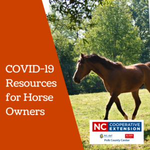 COVID-19 Resources for Horse Owners - Featured