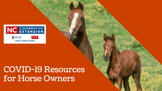 COVID-19 Resources for Horse Owners