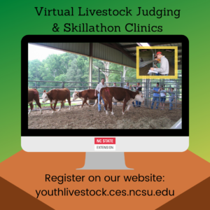 Cover photo for Virtual Livestock Judging & Skillathon Clinics