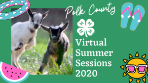 Polk County 4-H Virtual Summer Programs