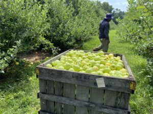 Cover photo for Produce Safety Alliance Growers Online Training- March 2021