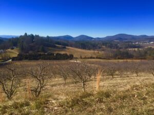 APPLE COUNTRY