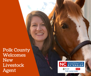 Polk County NC Livestock Agent