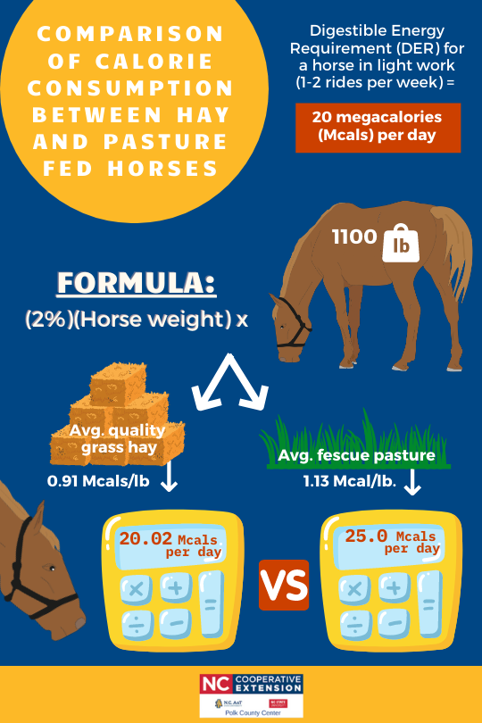 Equine Calorie Consumption Hay vs Pasture Grazing N.C