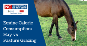 Equine Calorie Consumption Hay vs Pasture