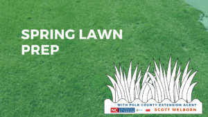 Spring Lawn Preparation