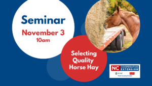 Selecting Quality Horse Hay