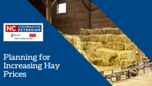 Planning for Increasing Hay Prices