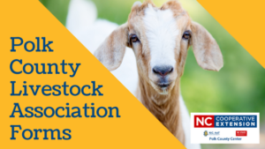 Polk County Livestock Association Forms