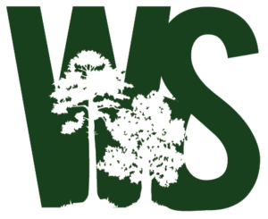 Cover photo for Five-Part Webinar Series on Forestry Taxes Starts in January
