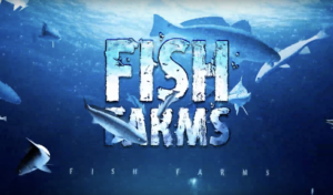 Cover photo for Fish Farms: A Look at NC Aquaculture