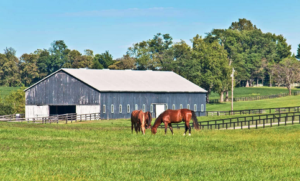 Cover photo for May Farm Management Checklist