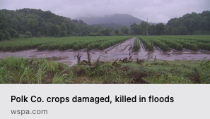 Cover photo for Polk County Crops Damaged, Killed in Floods