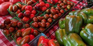 tomatoes and green peppers displayed in baskets