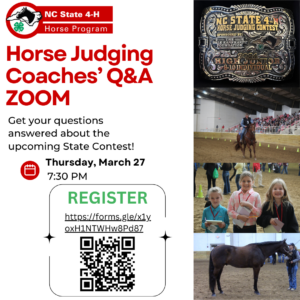 Cover photo for March 2025 NC 4-H Horse Program Newsletter