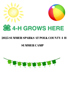 Cover photo for 4-H Summer Camp