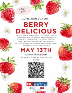 Cover photo for Berry Delicious